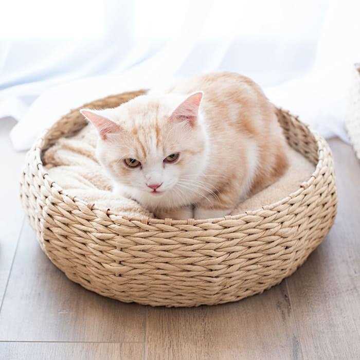 Seagrass Pet Bed W53806
