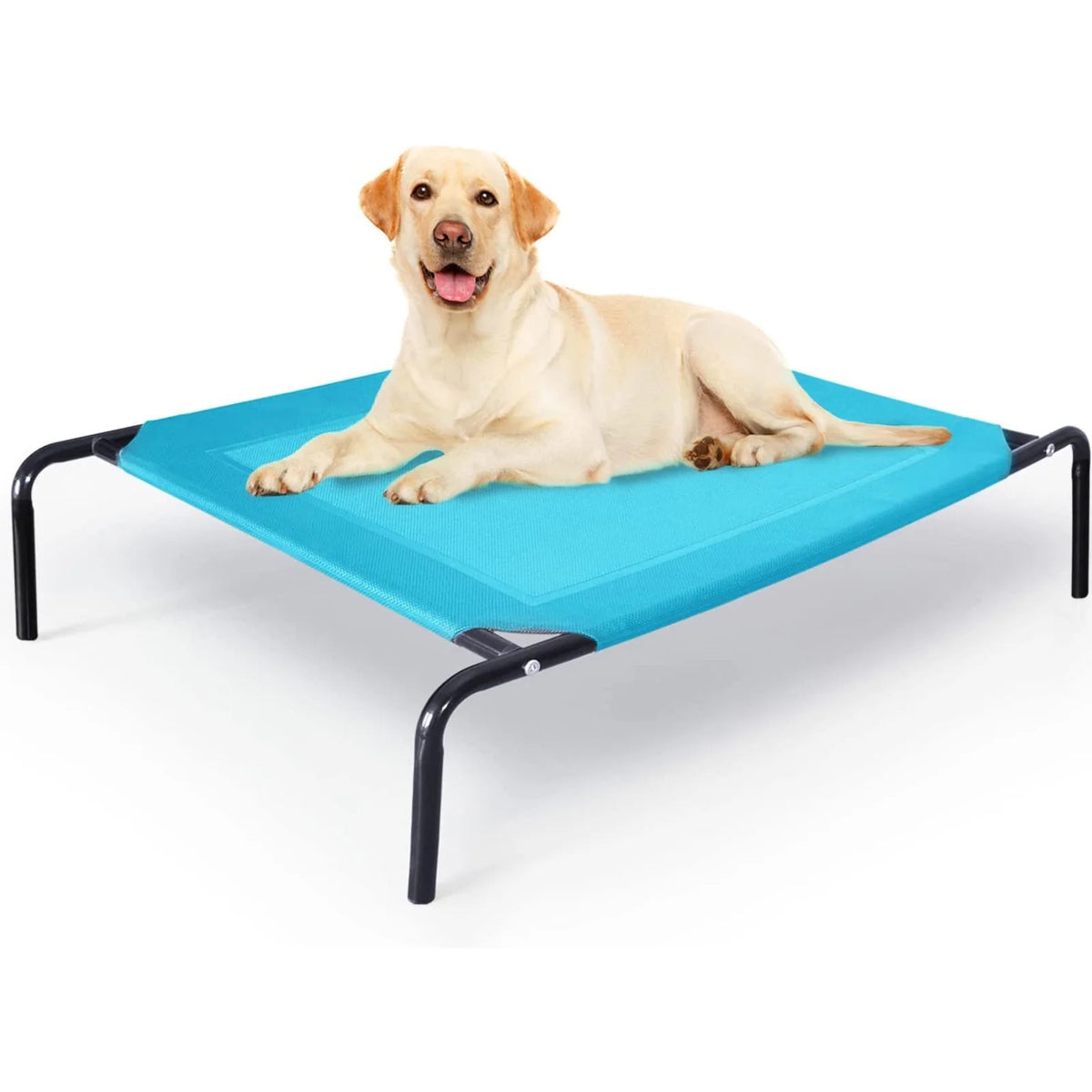 Extra Large Elevated Dog Bed X868036