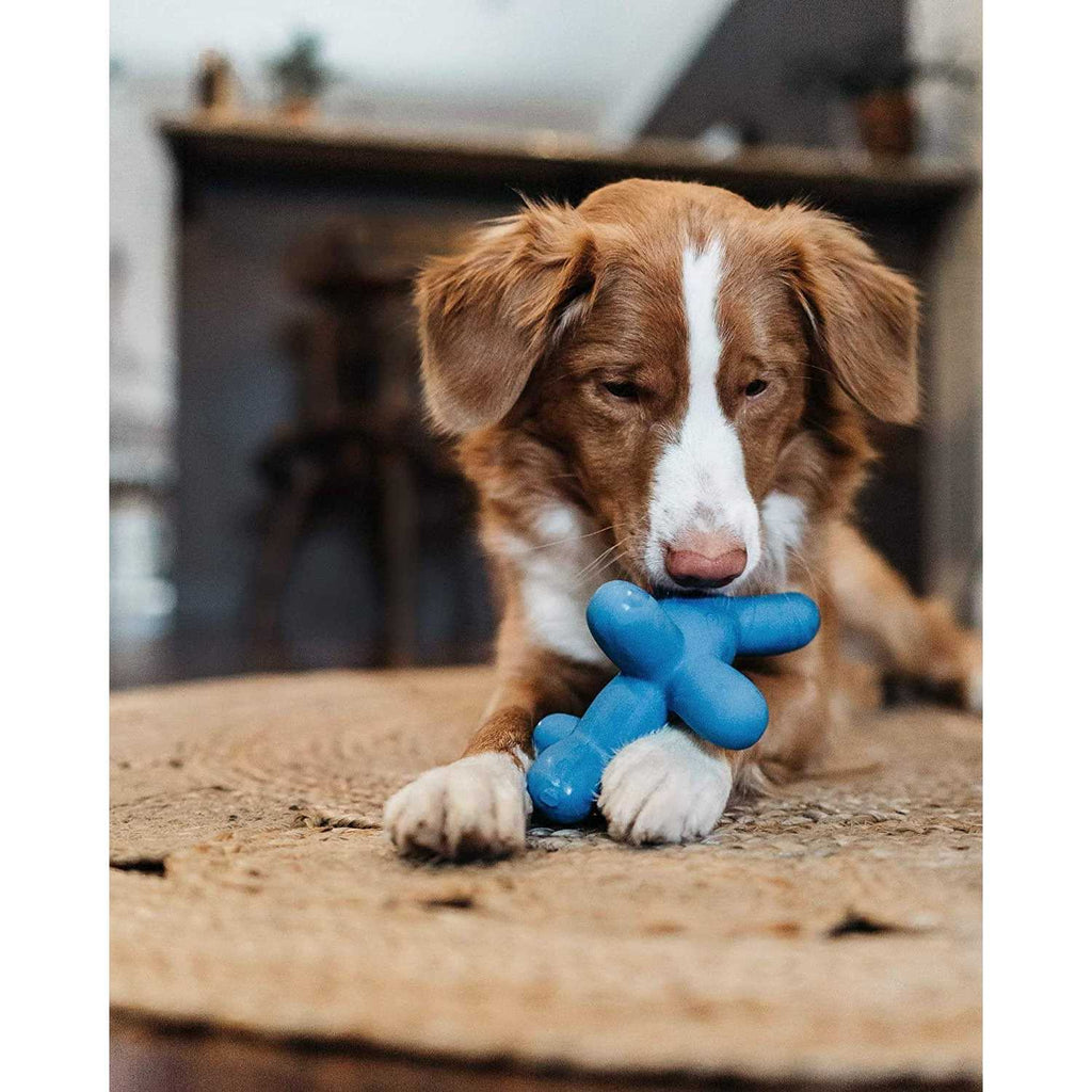 Latex Dog Toy A90718