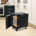 Insulated Food Pan Carrier with Handle D149