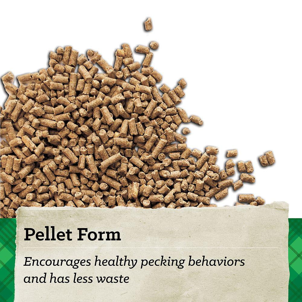40 lb Chicken Feed Q657497