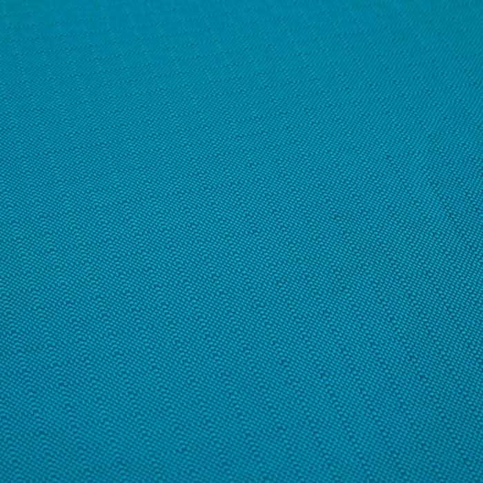 Teal Dog Mat P39503