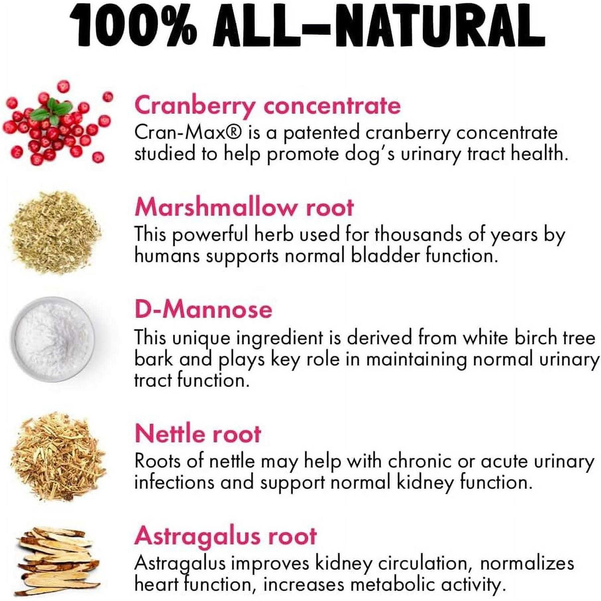 Cranberry UTI Chews for Dogs A7478