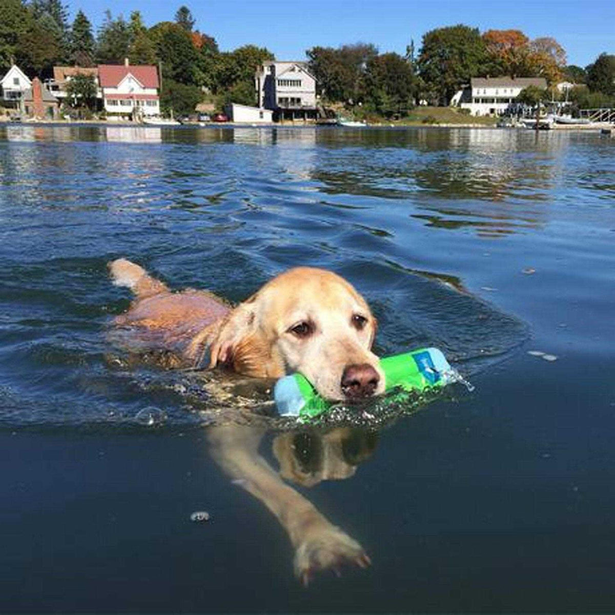 Amphibious Bumper Toy X7508