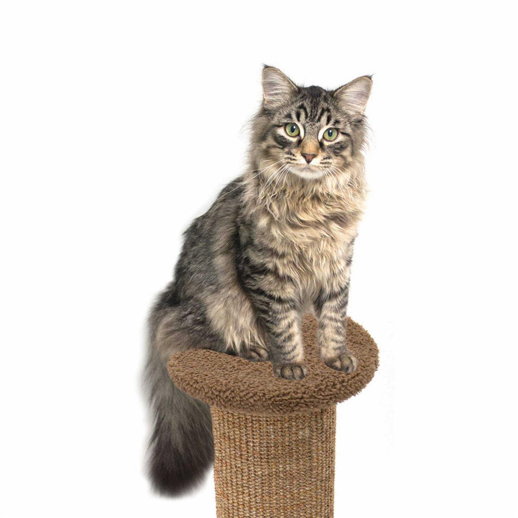 Scratch Post J404382