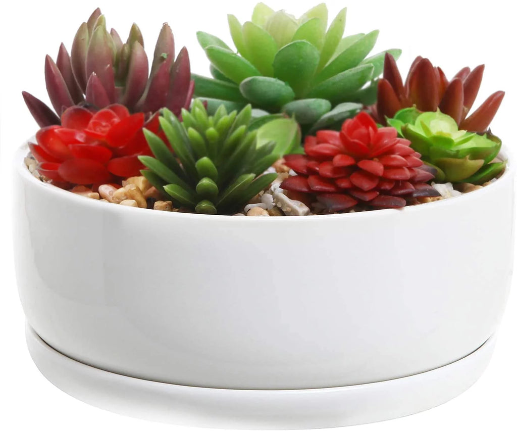 White Ceramic Succulent Planter Pot with Tray J150
