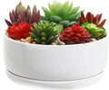 White Ceramic Succulent Planter Pot with Tray J150
