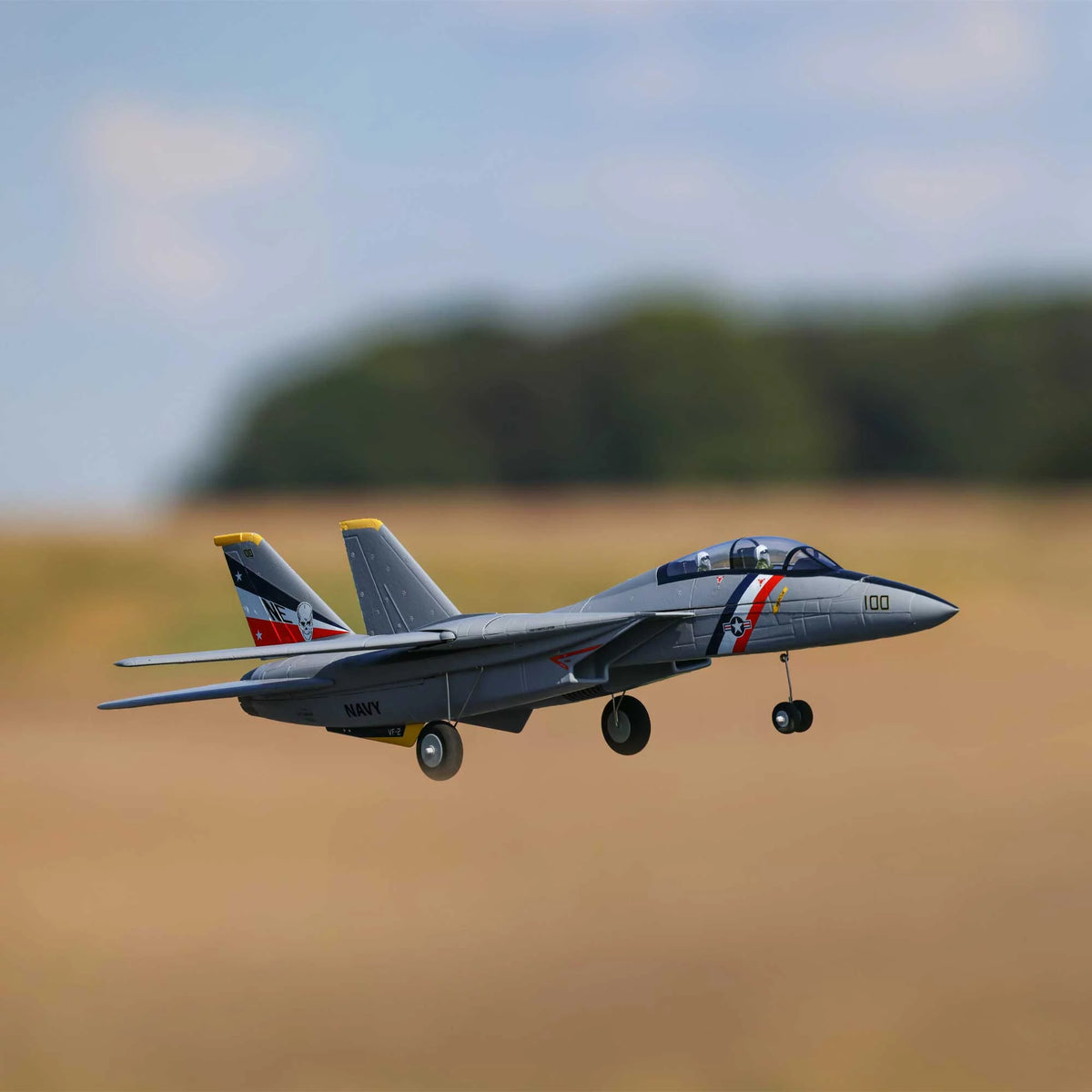 RC Airplane F-14 Tomcat Twin 40mm EDF Electric E2033