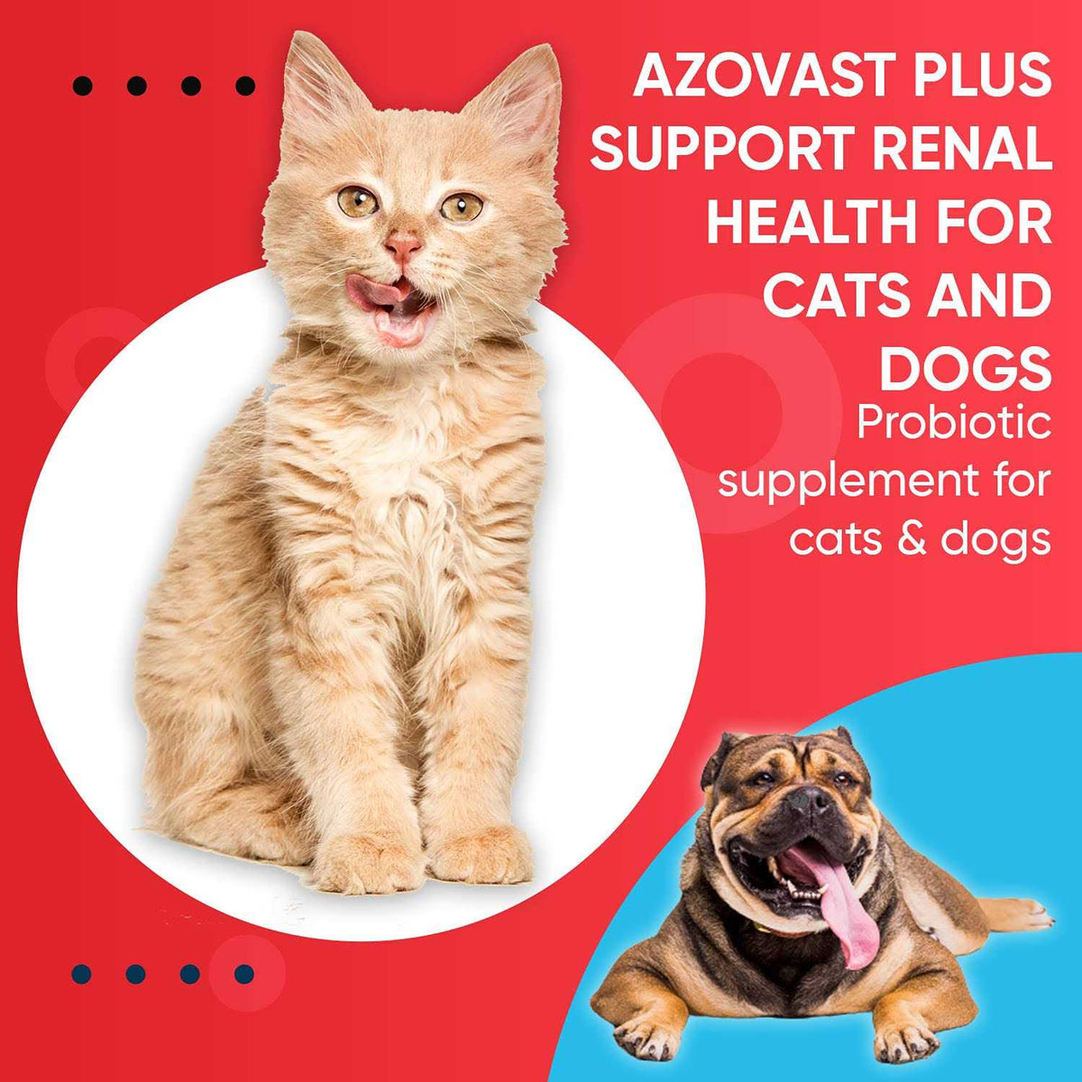 Kidney Health Supplement for Dogs & Cats Oral Paste V897