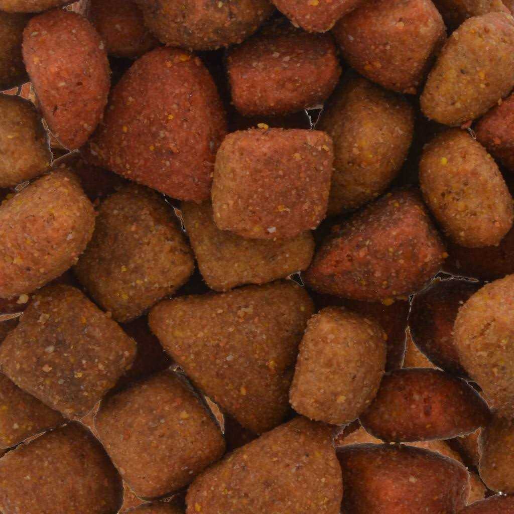 Beef Classic Dog Food N93709