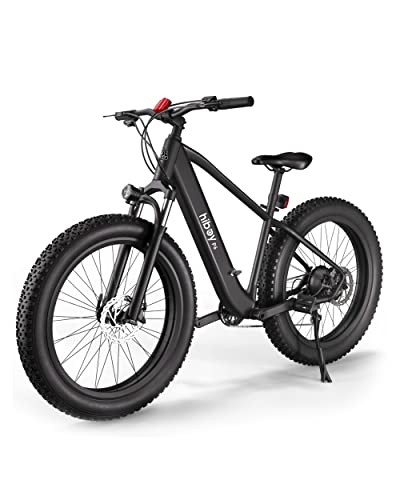 1000W 48V 13Ah Fat Tire Electric Bike Q2388