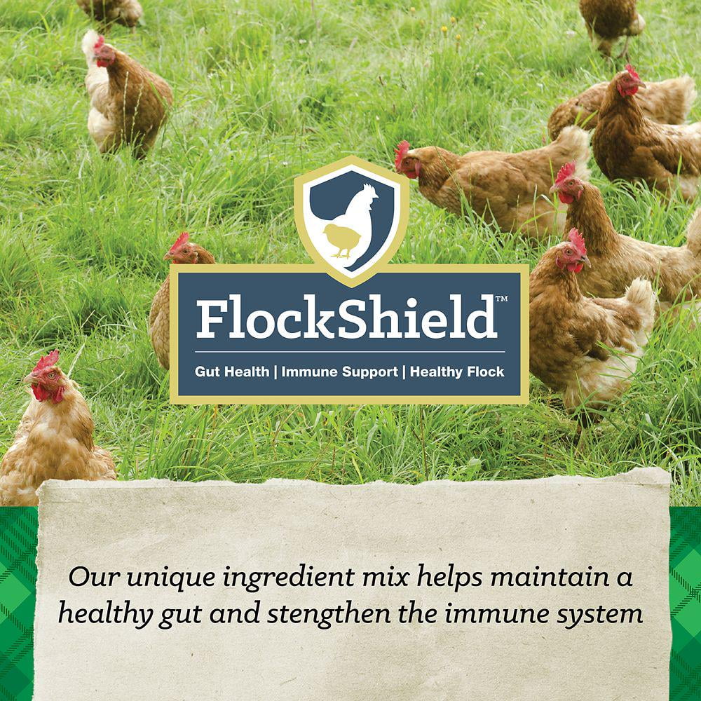 40 lb Chicken Feed Q657497