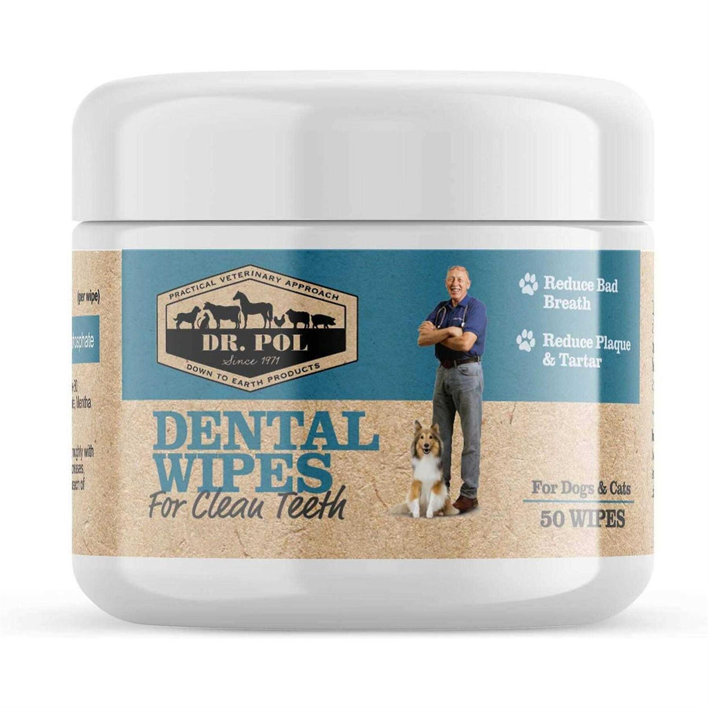 Dental Wipes for Dogs & Cats 50 Count G97558