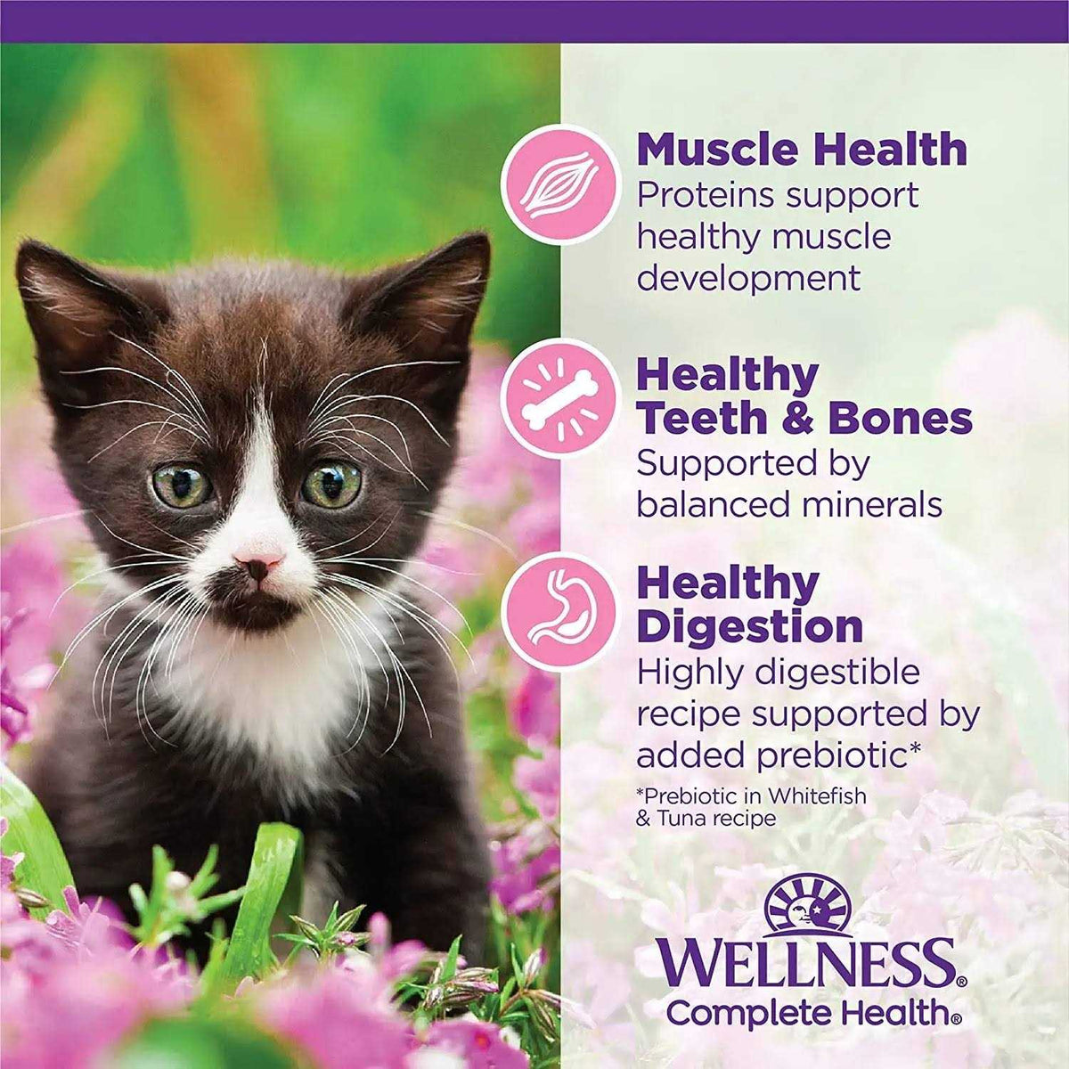 Cat Food I5093