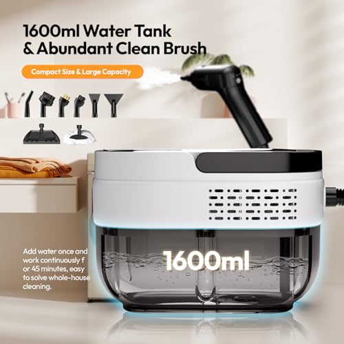2500w Handheld Steam Cleaner D6519