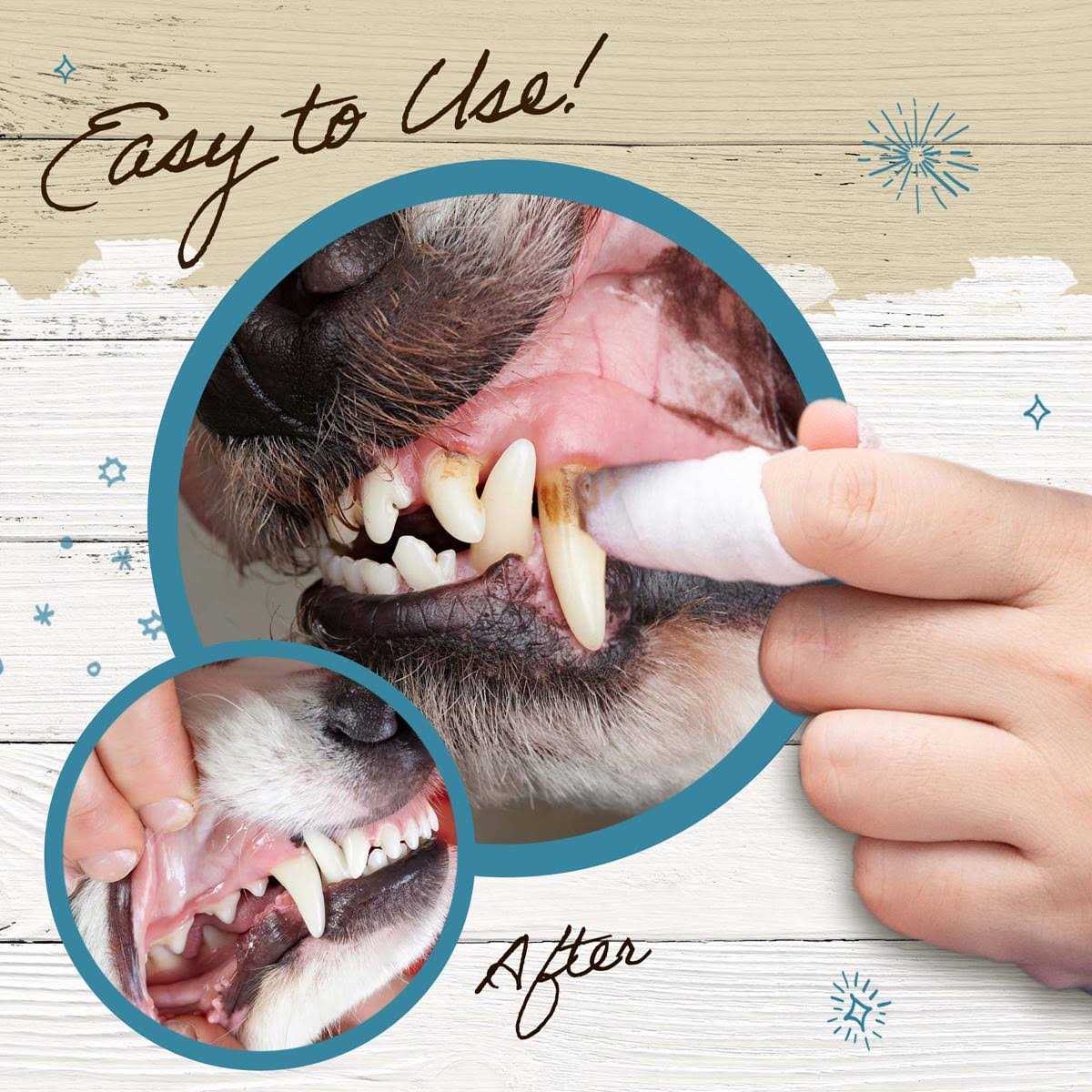 Dental Wipes for Dogs & Cats 50 Count G97558