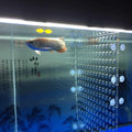 Acrylic Divider Isolation Board with Suction Cups V7624
