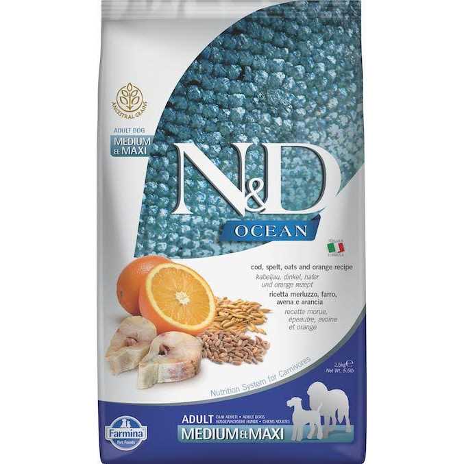 Lamb & Blueberry Puppy Dry Dog Food N1918